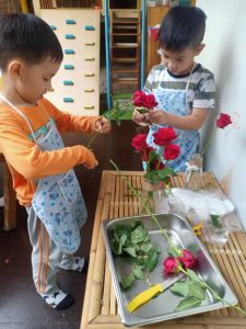 173948355 2875184312755181 5906106298932770304 N