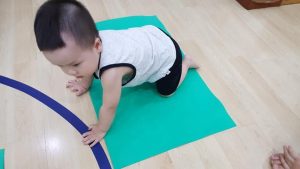 275301411 3112620892344854 3553149589074813123 N