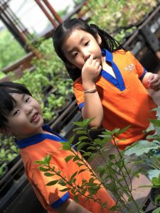 4dd914c110b9f4e7ada8