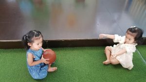 281727224 3168119173461692 8124221008058323389 N