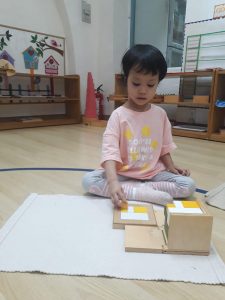 283604514 3169000666706876 3833319877457547159 N