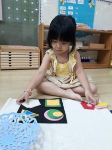 284054494 3168998506707092 7937890951018566616 N