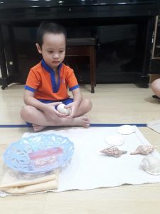 284144606 3168998576707085 803403562895235728 N