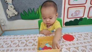 284534049 3170519189888357 4971249190873036288 N