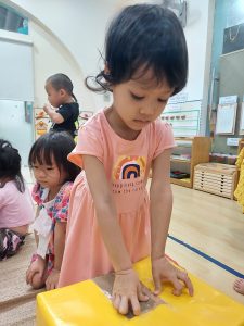 305579838 773628247241587 6554804044410771638 N