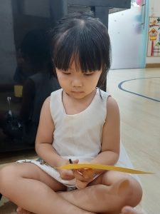 305714803 773628163908262 6022699101327704984 N