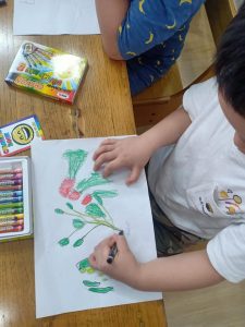 307503243 782583909677830 5509160610816354153 N