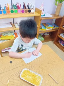 308063682 772802207322667 108221411617170122 N