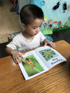 Z3776120669062 9b6a0bdae273e1e8b0deaa95efef9f08