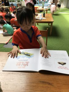 Z3776120683519 2f1671d02642a80901f9bfb3a787c7ba