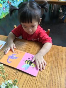 Z3776120702039 7560c5461ac15c93139a5000e87327a4