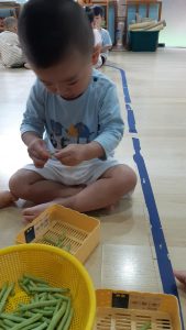 315283017 536729975135072 1140965953449145607 N