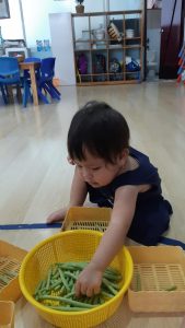 315289349 536729881801748 3197787598418784281 N