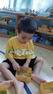 315436013 536729248468478 772678713653019777 N