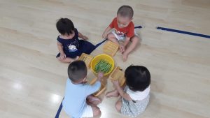 315551608 536729275135142 6950884033189293188 N