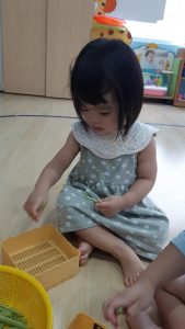 315633725 536729628468440 6532505933707647002 N