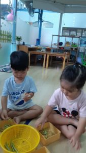 316237795 536730081801728 1648255461962293737 N