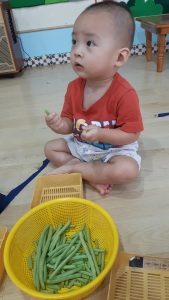 316682686 536729095135160 4079914849582636915 N