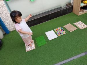 334084496 2311969122318050 9209619796142028254 N