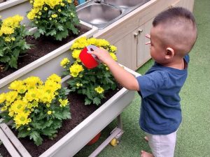 334101561 598678461723511 4608881362824132139 N