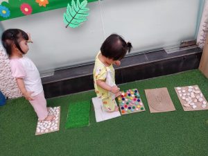 334170239 683840786853243 2632210932868902184 N