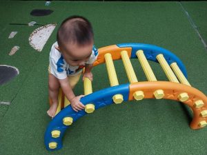 335014773 746488527000492 1941632110726349175 N