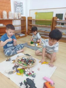 337823233 609288554033176 4407793316054073801 N