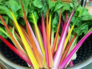 338181469 1290316961550143 8289931952460030871 N