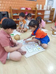 338216370 163280256601238 2978911919012177125 N