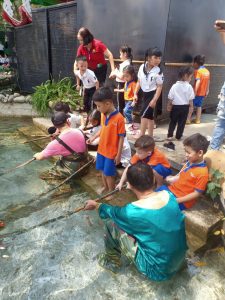 Z4202898532564 8bf7cd3f81e5aa99594a524bded2286e