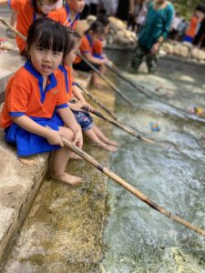 Z4202980494291 D05230c1d31331d6429856a6dd865d5c