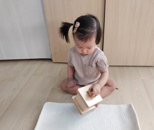 341337338 260635943026257 3306305910944405028 N