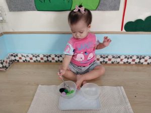 341636862 220724193893500 1523026754547626965 N