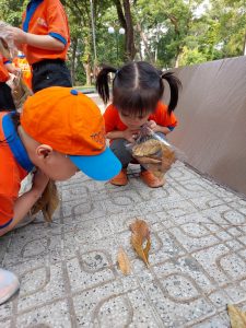 Z4226148748683 F0d74527e49432d5e96ef1644c71b24b