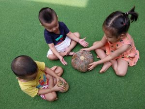 343445046 5817258471735281 3534941061692189113 N