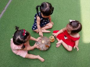 343446631 739954117874341 31166844119900523 N