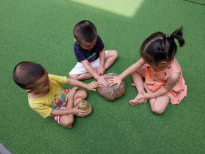 343739297 763987528411321 4684268428313422956 N