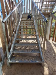 343756958 1189280771762619 5100923320417030178 N