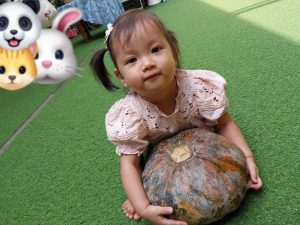 343778329 641334234475734 2015232116126137765 N