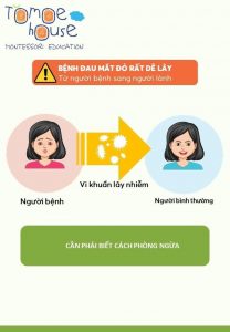 375452148 734988775309190 4511529112130246503 N