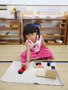 375816011 734126808728720 8270551865627314903 N