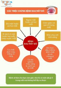 376657247 734988758642525 3178978225473706586 N