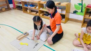 475823681 1086095956865135 1509465233699837629 N